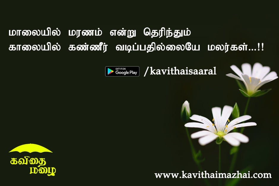 Natural Quotes in Tamil