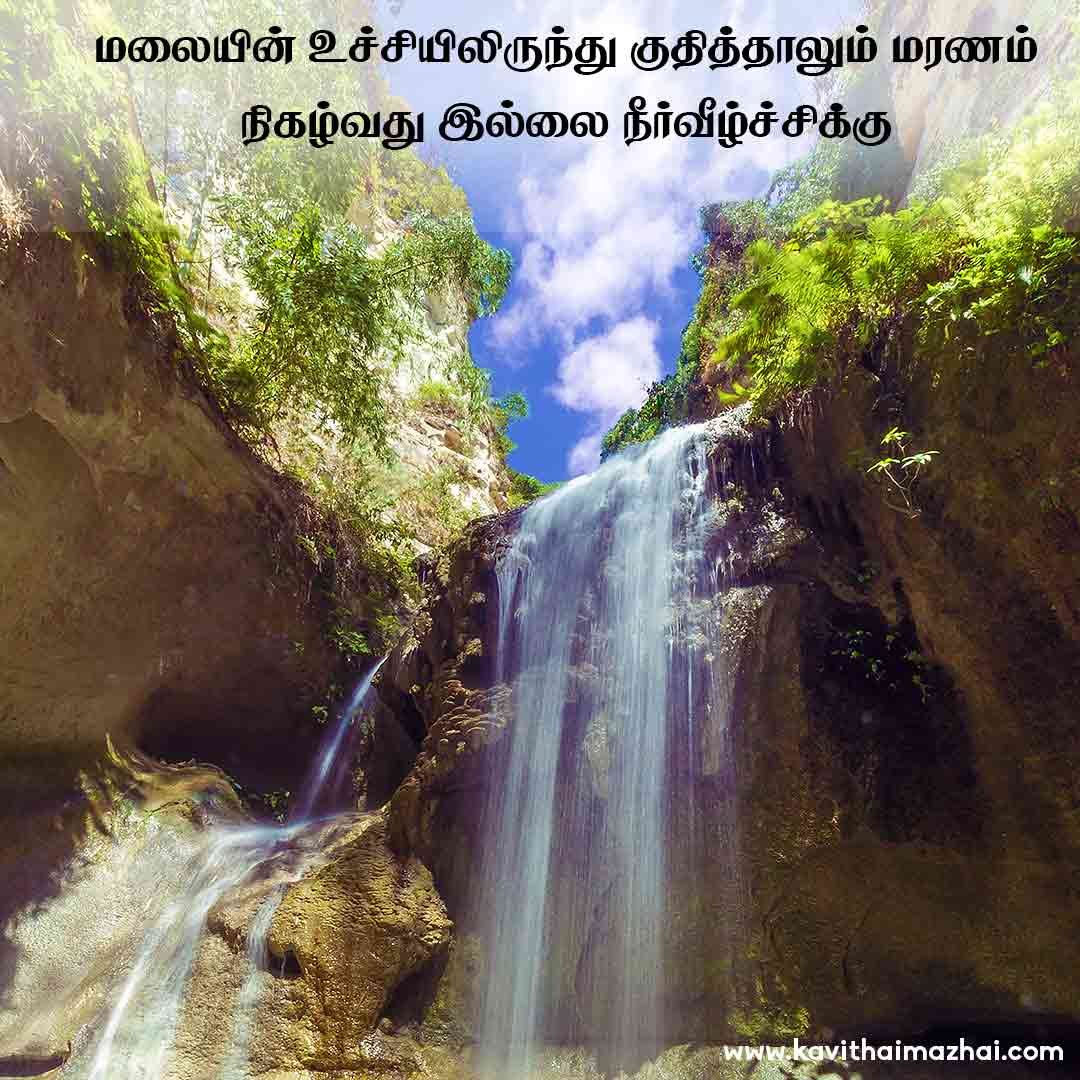 Natural Quotes in Tamil