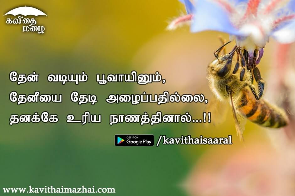 Kadhal kavithaigal