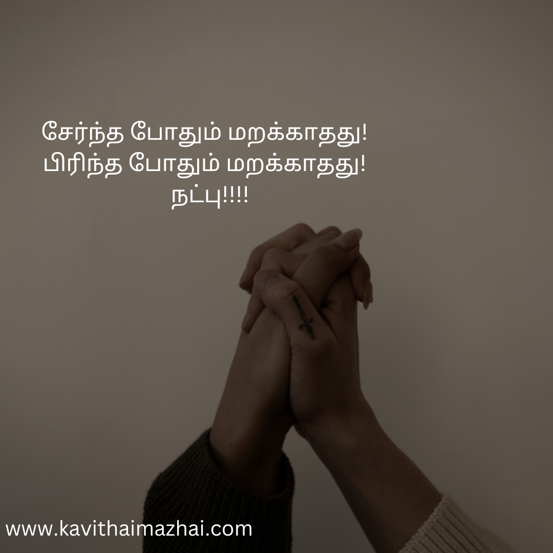 Friendship quotes