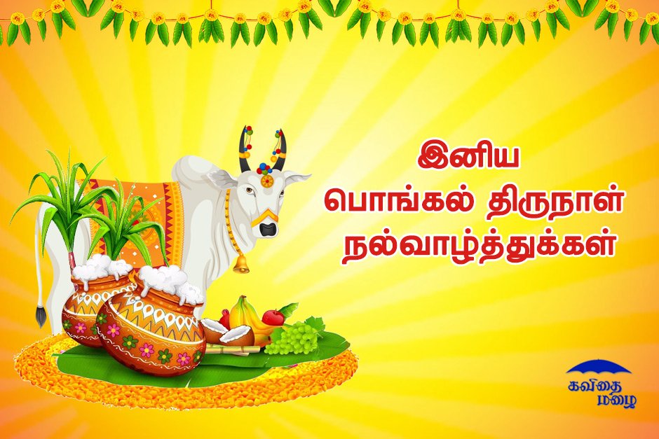 Pongal Wishes in Tamil